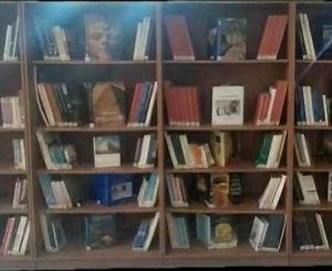 مكتبة المستندات خشب MDF مقسمة خانات من اعلي ومن اسفل مقاس 240 سم × 120 سم × 50 سم بيج محلي الصنع